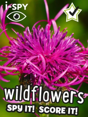 I Spy Wildflowers