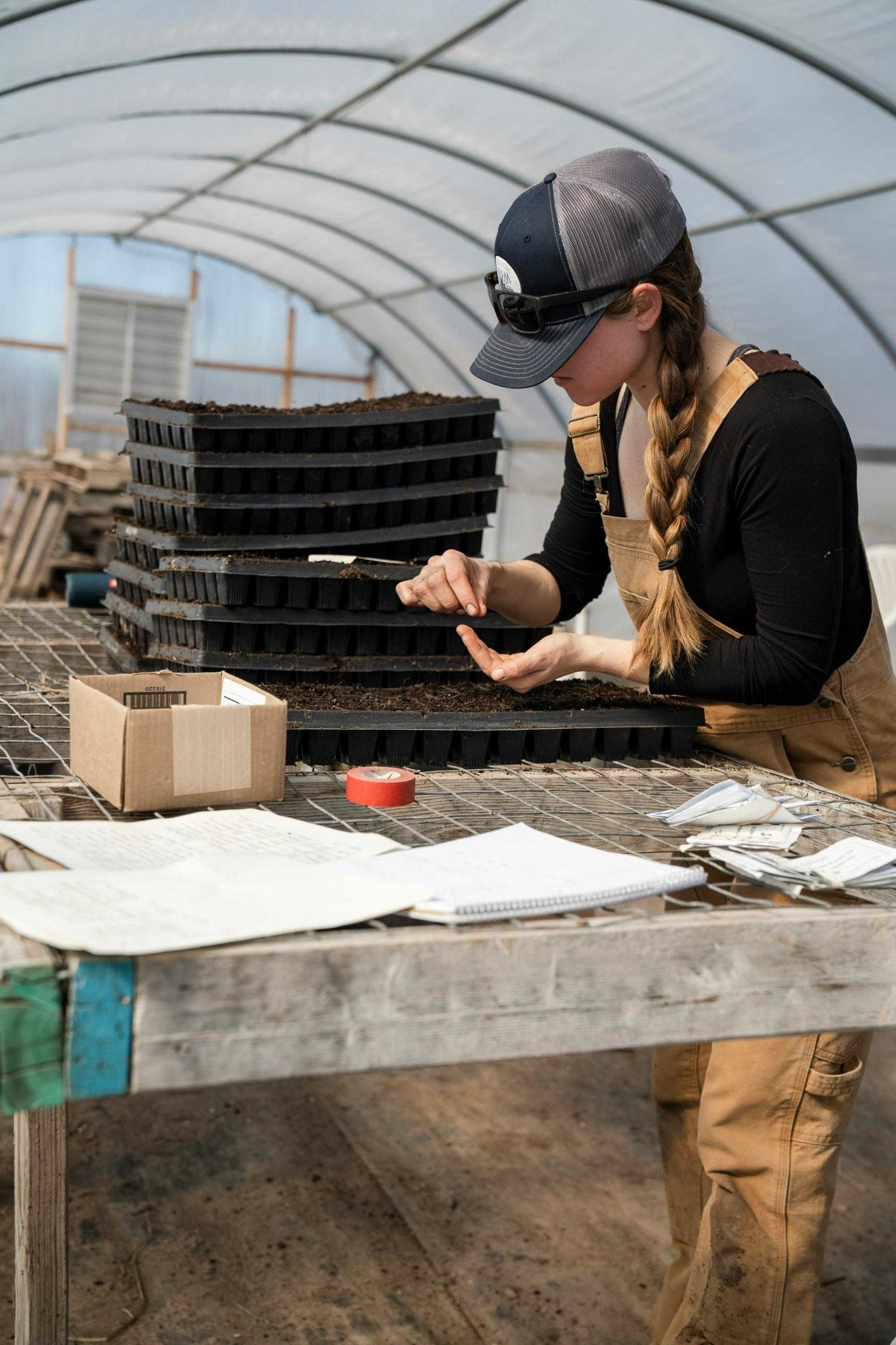 Person working in greenhouse